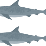 KU真人安卓尊享版-KU真人最新博彩APP入口-手机端网页通用版